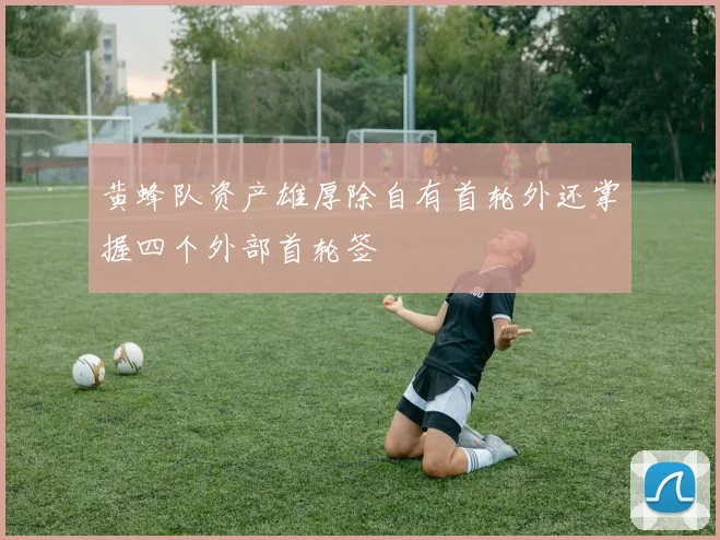 黄蜂队资产雄厚除自有首轮外还掌握四个外部首轮签