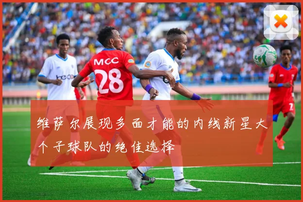 维萨尔展现多面才能的内线新星大个子球队的绝佳选择