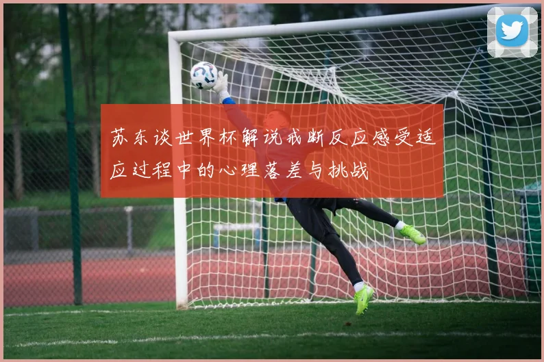 苏东谈世界杯解说戒断反应感受适应过程中的心理落差与挑战