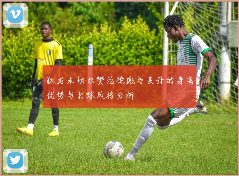 狄龙米切尔赞范德彪与麦丹的身高优势与打球风格分析